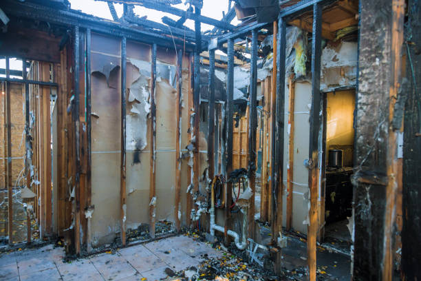 Professional Soot Removal technician working in Knapp, WI
